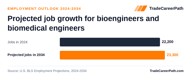 Projected job growth for bioengineers and biomedical engineers: 22,200 jobs in 2024 to 23,300 in 2034, +5.2% change. Source: U.S. BLS Employment Projections, 2024-2034.